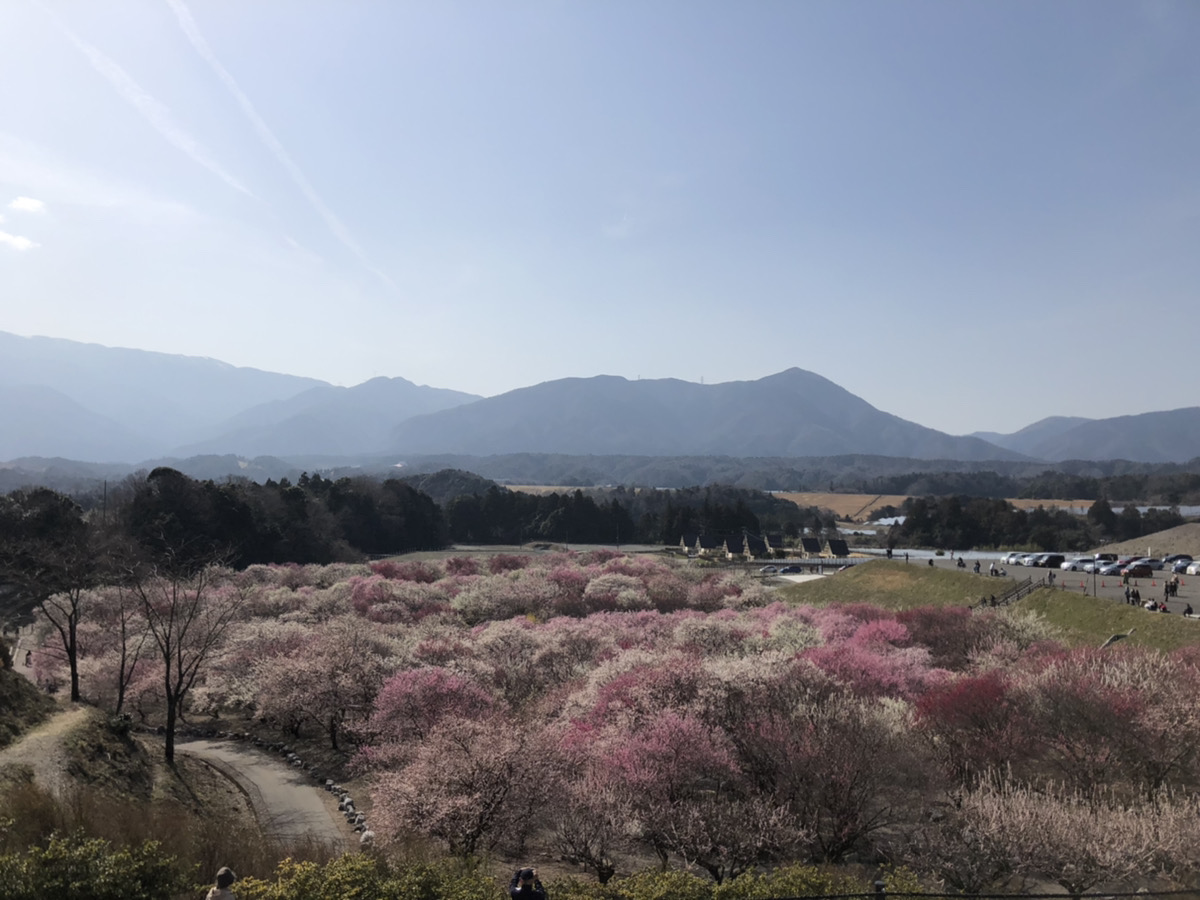 【学生向け・会社説明会】満員御礼！別日程にて追加開催！