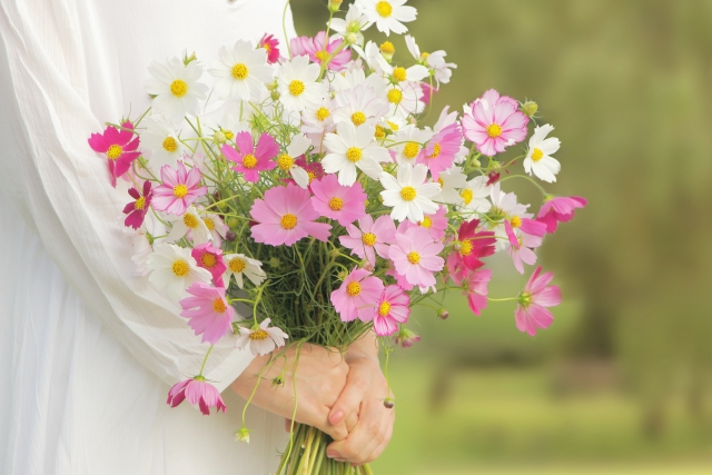 お花がお家にもたらす効果