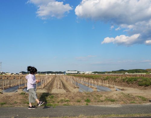 趣味とお家づくり