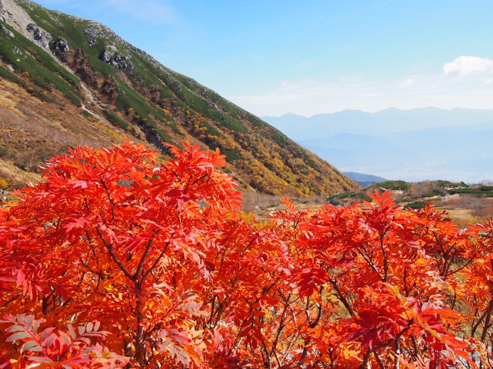紅葉の山景色