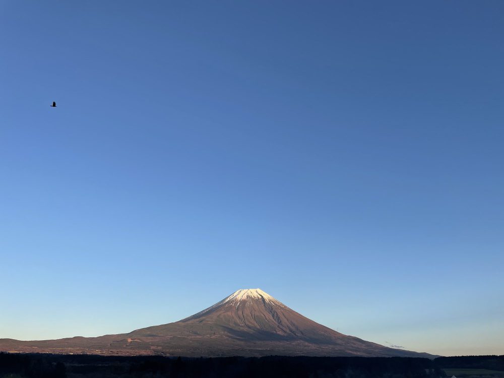 来月から12月。14期の幕開けです！！