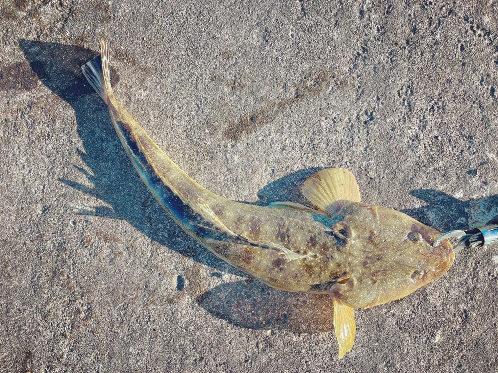 【ハウスクラフトの部活動】釣り部