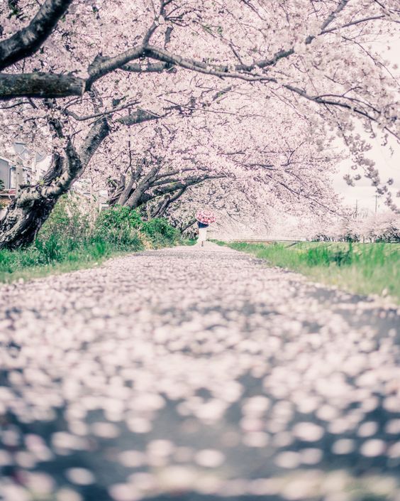 今年も2カ月が経ちました！！！