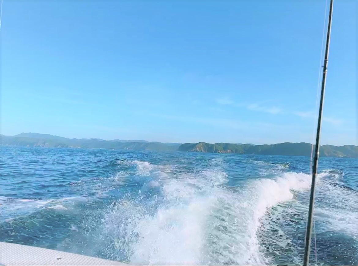 ハウスクラフト【釣り部】南伊勢まで行ってきました🎣