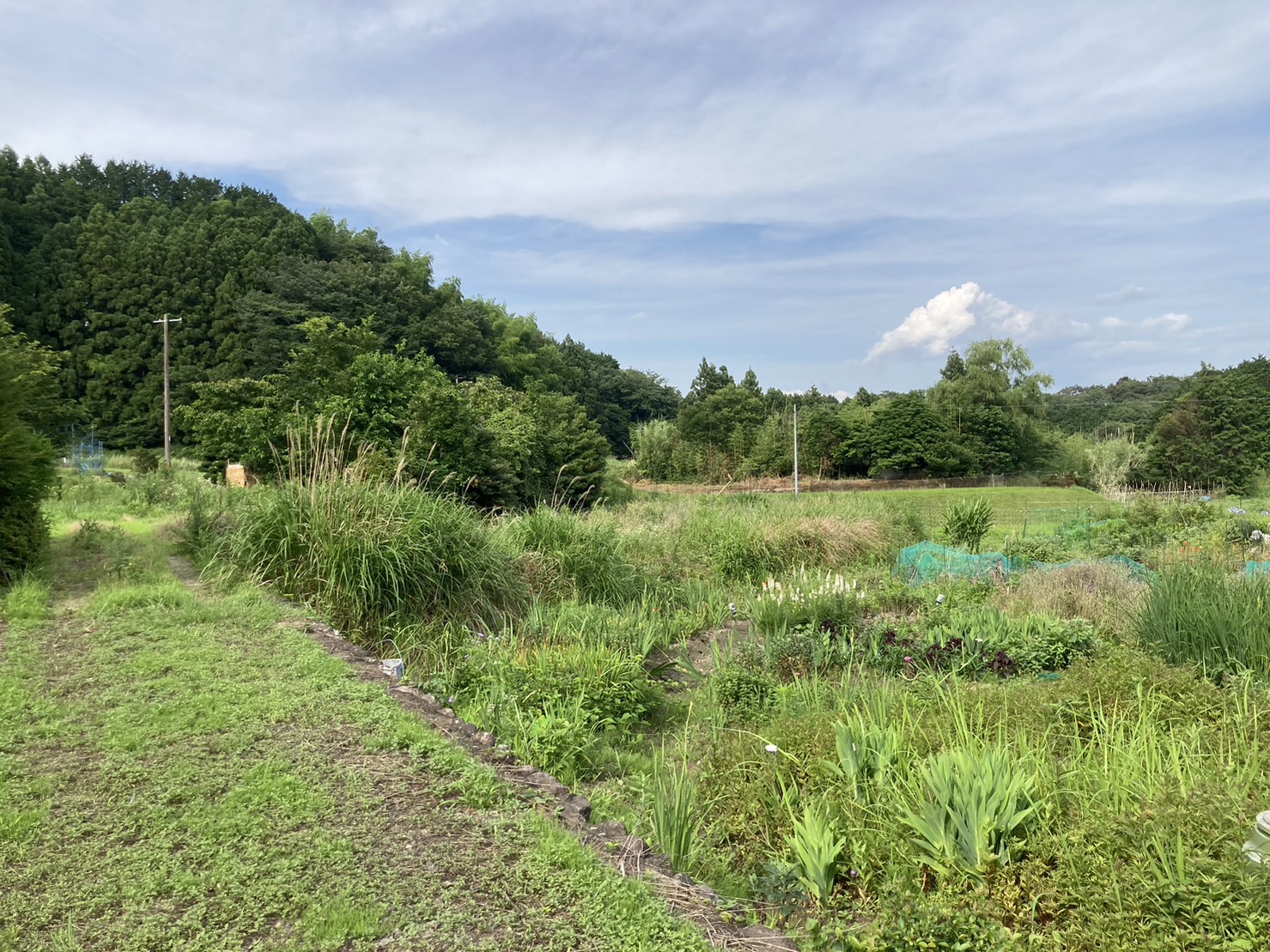 借景とは？土地の使い方でマイホームの住み方は変わる