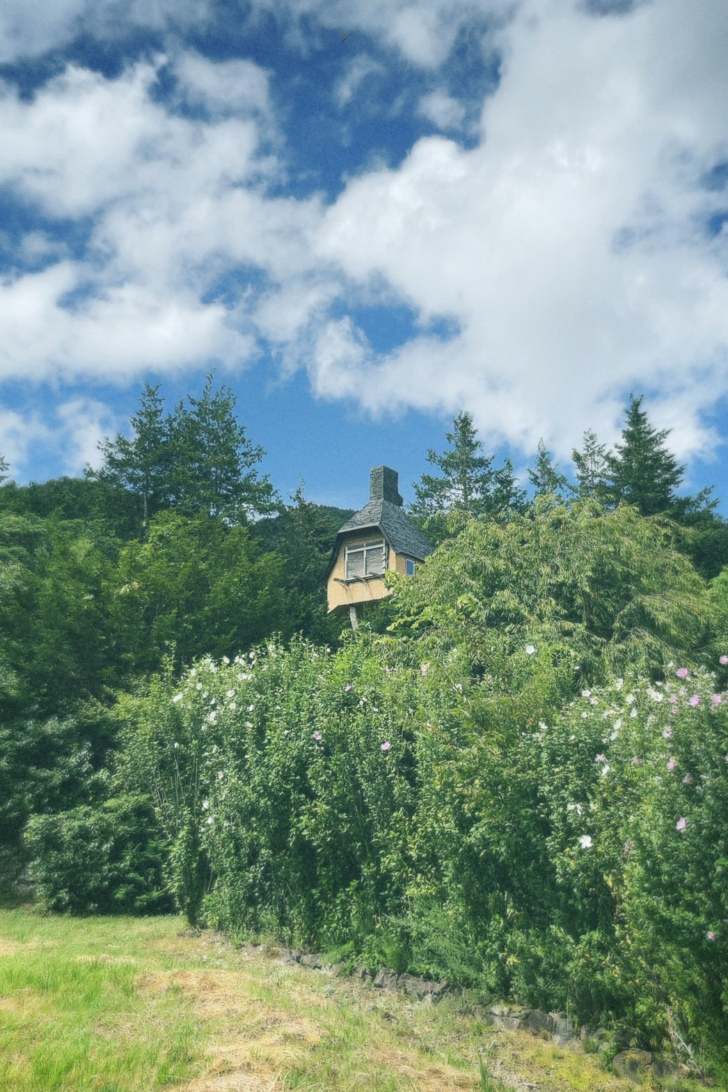 長野の面白い建築を見に行きました