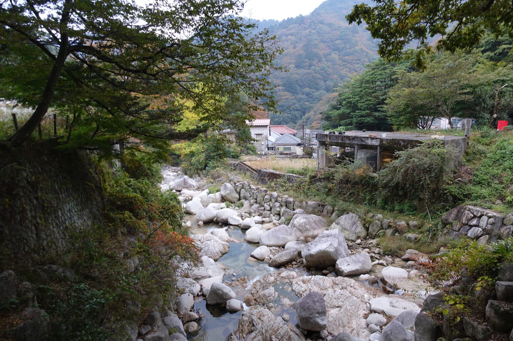 休日に菰野探検 御在所ロープウェイ･こもの花苑