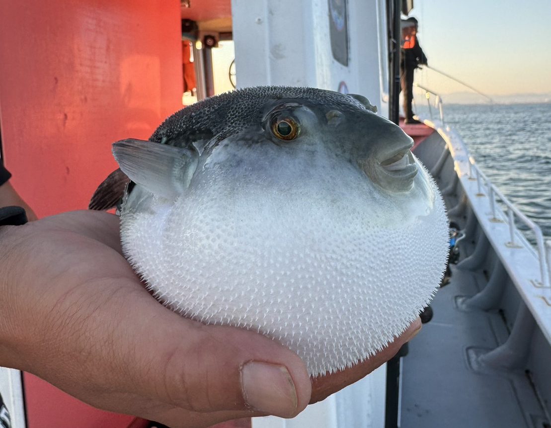 釣れるときもあれば釣れない時もある。