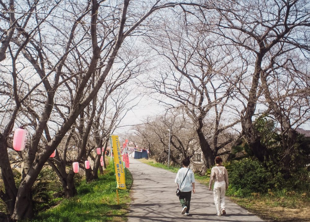 海蔵川のさくらまつり