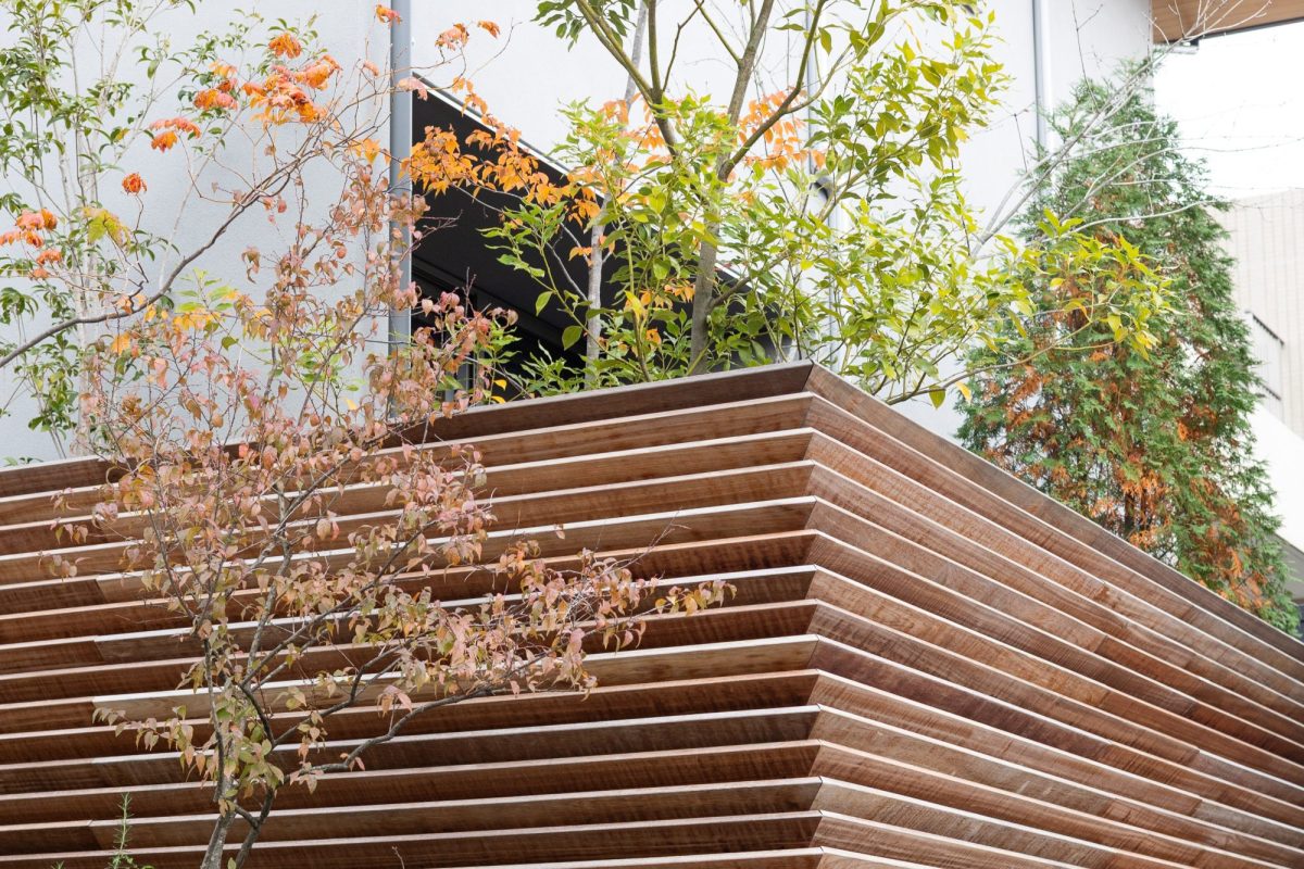 四季によって表情を変えるお庭を愉しむ住まい